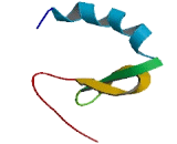 Ribosomal Protein L35A (RPL35A)