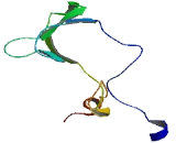 Ribosomal Protein L36 (RPL36)