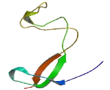 Ribosomal Protein L36A (RPL36A)