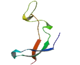 Ribosomal Protein L36A Like Protein (RPL36AL)