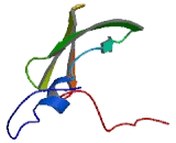 Ribosomal Protein L37A (RPL37A)