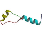 Ribosomal Protein L39 (RPL39)