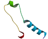 Ribosomal Protein L39 Like Protein (RPL39L)