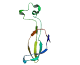 Ribosomal Protein L41 (RPL41)