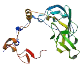 Ribosomal Protein L8 (RPL8)