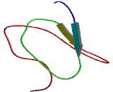 Ribosomal Protein S15 (RPS15)