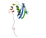 Ribosomal Protein S16 (RPS16)