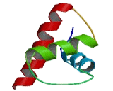 Ribosomal Protein S17 (RPS17)