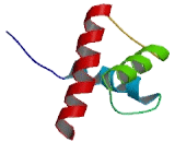 Ribosomal Protein S17 Like Protein (RPS17L)