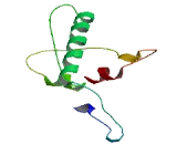 Ribosomal Protein S19 Binding Protein 1 (RPS19BP1)