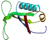 Ribosomal Protein S20 (RPS20)