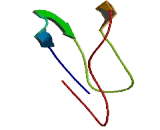 Ribosomal Protein S27 Like Protein (RPS27L)