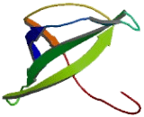 Ribosomal Protein S28 (RPS28)