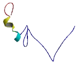 Ribosomal Protein S29 (RPS29)