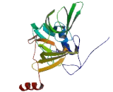 Ribosomal Protein S4, Y-Linked 2 (RPS4Y2)