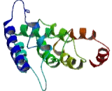 Ribosomal Protein S7 (RPS7)