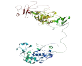 Ribosomal RNA Processing 1 Homolog B (RRP1B)