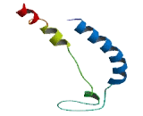 Ribosomal RNA Processing 36 Homolog (RRP36)