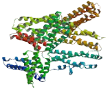 Ribosome Binding Protein 1 (RRBP1)