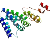 Ribosome Production Factor 1 (RPF1)