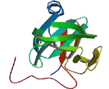 Rieske Domain Containing Protein (RFESD)