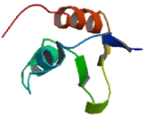 Ring Finger And KH Domain Containing Protein 2 (RKHD2)