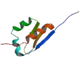 Ring Finger And KH Domain Containing Protein 4 (RKHD4)