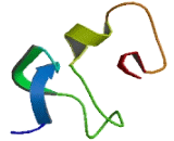 Ring Finger And WD Repeat Containing Domain Protein 3 (RFWD3)