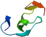 Ring Finger Protein, Transmembrane 1 (RNFT1)