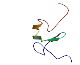 Ring Finger Protein 115 (RNF115)