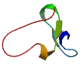 Ring Finger Protein 125 (RNF125)