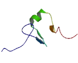 Ring Finger Protein 141 (RNF141)