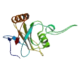 Ring Finger Protein 149 (RNF149)