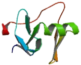 Ring Finger Protein 152 (RNF152)