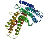 Ring Finger Protein 169 (RNF169)