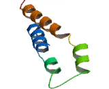 Ring Finger Protein 187 (RN<b>F187</b>)