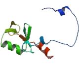 Ring Finger Protein 2 (RNF2)