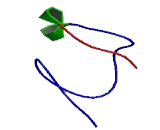 Ring Finger Protein 217 (RNF217)