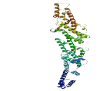 Ring Finger Protein 219 (RNF219)