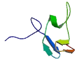 Ring Finger Protein 26 (RNF26)