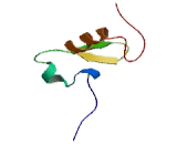 Ring Finger Protein 4 (RNF4)