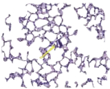 Romiplostim (RM)