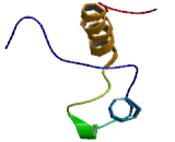 Rotavirus X Associated Non Structural Protein (Roxan)