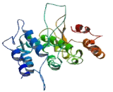 Round Spermatid Basic Protein 1 (RSBN1)