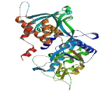 RuvB Like Protein 1 (RUVBL1)