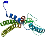 S-Phase Cyclin A Associated Protein In The ER (SCAPER)