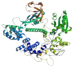 S1 RNA Binding Domain Containing Protein 1 (SRBD1)