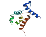 S100 Calcium Binding Protein (S100)