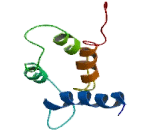 S100 Calcium Binding Protein A11 (S100A11)