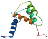 <b>S100</b> Calcium Binding Protein A13 (<b>S100</b>A13)